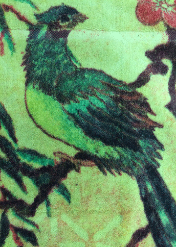 Fresco Towels Tropical Peacock Lime Small Bathmat