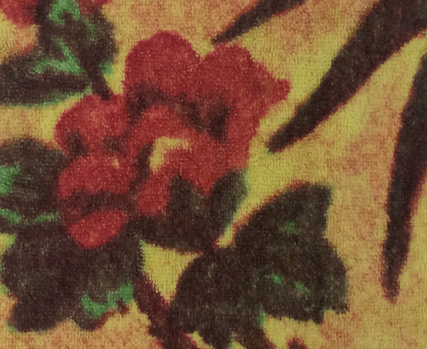 Fresco Towels Tropical Peacock Lime Wash Cloth