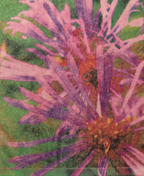 Fresco Towels Wildflower Pink Bath Towel