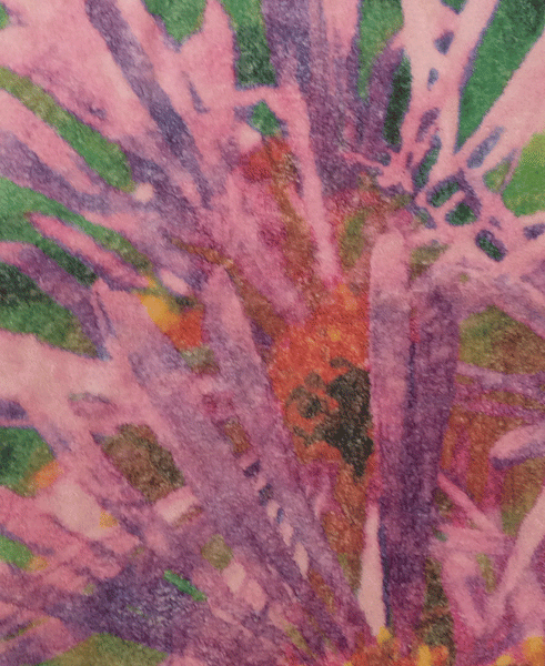 Fresco Towels Wildflower Pink Bath Towel